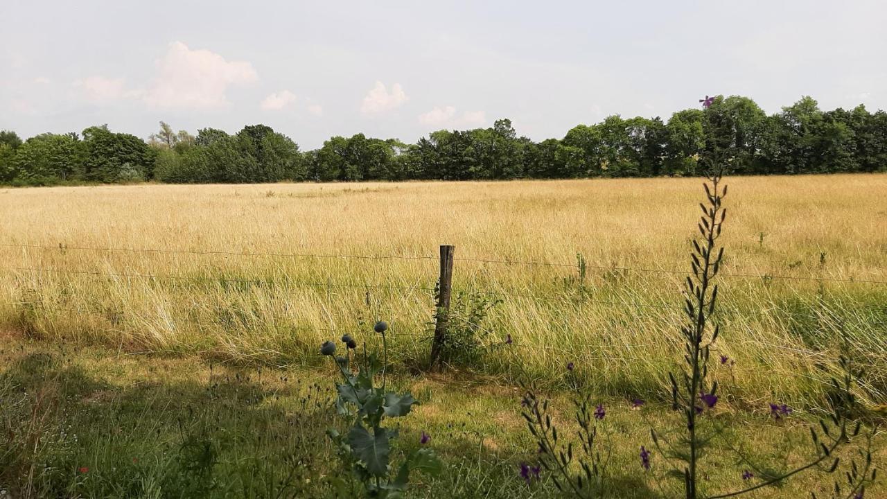 Biesboschbest Werkendam Extérieur photo